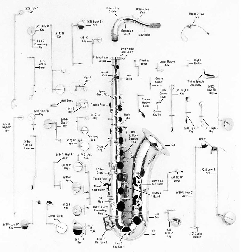 Woodwind and Brass Saxophone Parts Guide Sax Parts Guide